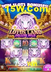 Estatísticas 7558Win
