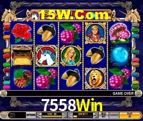 Design Responsivo 7558Win